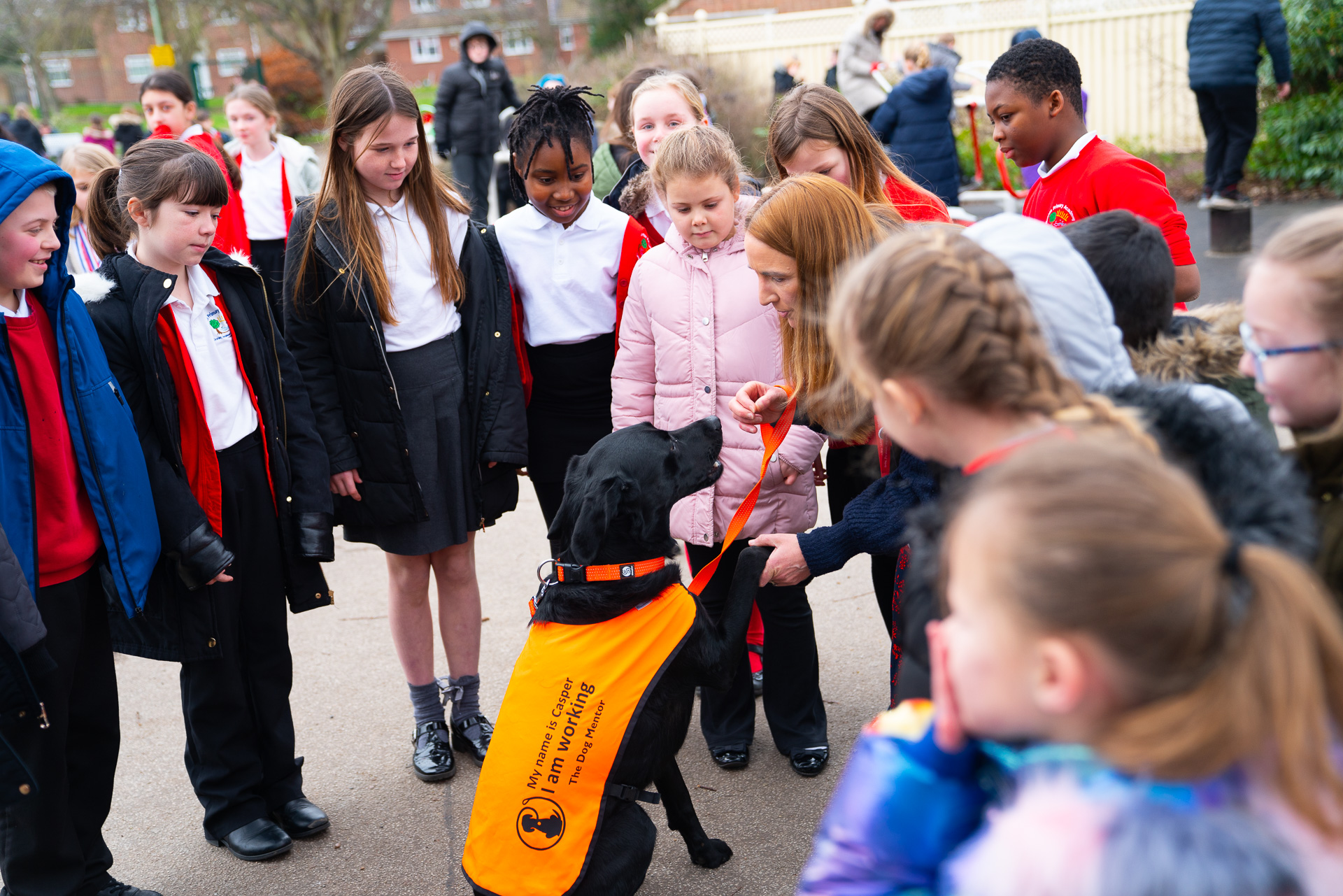 Celebrating Pets in Schools: A Paw-sitive Experience at REAch2 Academy Trust